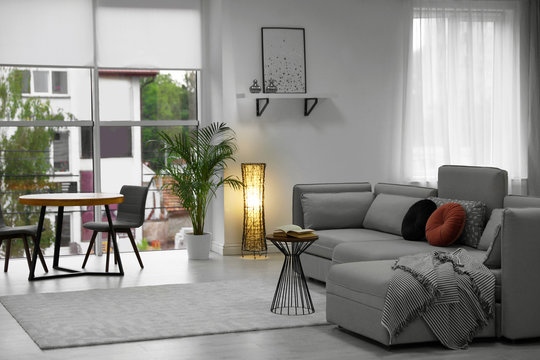 Cozy living room with modern furniture and stylish decor. Ideas for interior