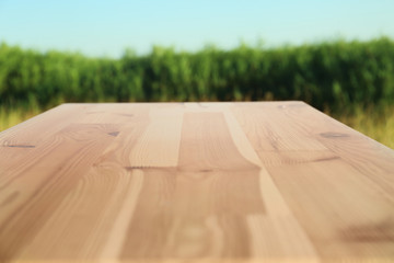 Empty wooden picnic table in park, closeup