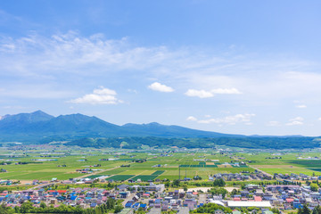 中富良野の町と十勝連峰