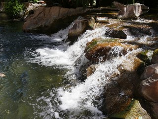 Close up, side view of water cascading down rocks in a landscaped garden