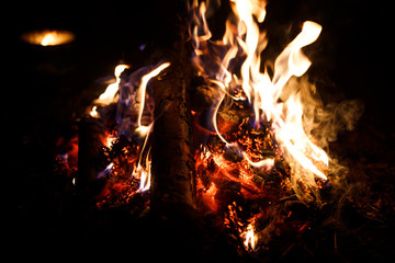 Fire flame close-up in the dark. Orange flames of a camp fire, embers and cones in the fire