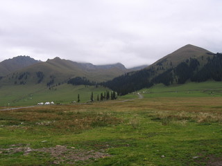Nomads tents on grassland and forest trees on mountain hill at valley in Xinjiang Province, China