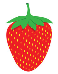 strawberry fruits