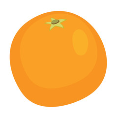 fruits orange