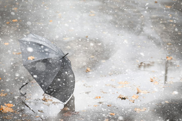 Autumn park in the first snow
