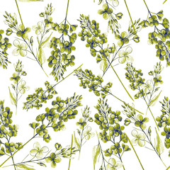 Pattern with summer flowers, canola. Hand draws field, garden plants with ink, pencil. botanical illustration vintage. Canola flower with leaves, buds. Design for oil, packaging, wallpaper, textiles.