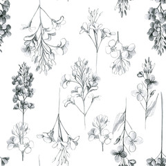 Pattern with summer flowers, canola. Hand draws field, garden plants with ink, pencil. botanical illustration vintage. Canola flower with leaves, buds. Design for oil, packaging, wallpaper, textiles.