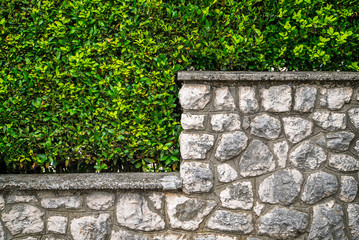 tiled bush circle concrete wall background
