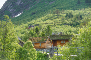 Scenic rural Overdalen valley. Forest in front of the wooden cottage houses that have living sod roofs . Sunny summer day in Norway, Scandinavian true pearl.