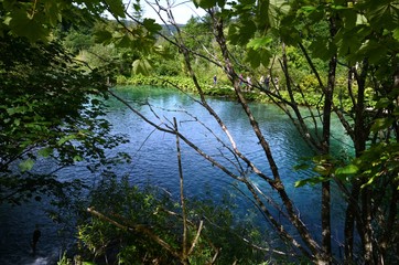 Croatie : Parc national des lacs de Plitvice (Dalmatie du Nord)