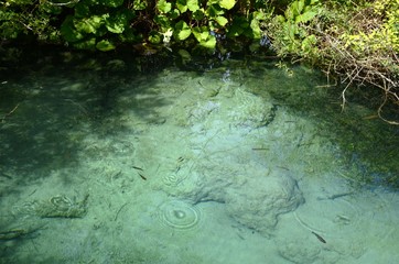 Croatie : Parc national des lacs de Plitvice (Dalmatie du Nord)