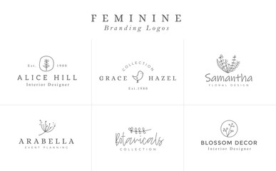 Set of Feminine Vector Signs or Logo Templates - Vector