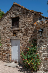 Fototapeta na wymiar Oleander Mons la trivalle Languedoc France