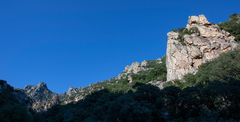 Fototapeta na wymiar Gorge d'Heric Mons la trivalle Languedoc France