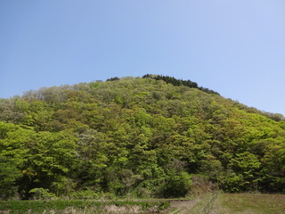 Landscape of forest in Sado city, Japan