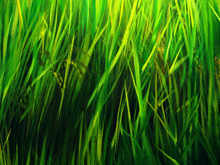 Green Leaves oil painting abstract background .Nature background