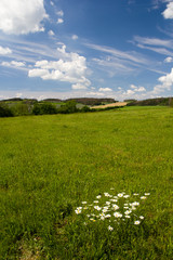 Fototapeta na wymiar Field of green grass in the hilly landscape