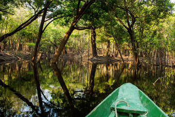 Seitenarm des Rio Negro, Amazonas, Brasilien