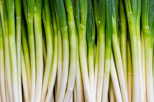 2 476 最適な 長ネギ 画像 ストック写真 ベクター Adobe Stock