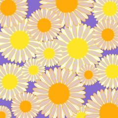 Daisy flowers with purple background 