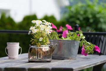 Table with shiny teapot and vintage bowl both used as flower pots. Colorful blossoms, wooden rustic plate. Cafe in Solvorn, a cute small resort village.  Midsummer day in Norway.