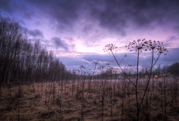 Field with mist after during dusk
