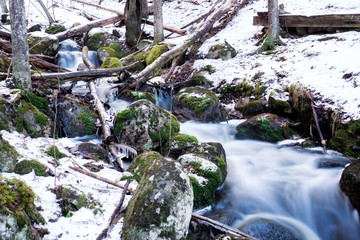 Forest stream flowing through woodlands during early spring