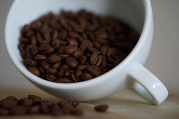 Kaffeetasse mit Kaffeebohnen
