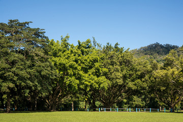 オーストラリアの公園