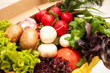 Big Basket with vegetables mushrooms, basil, lettuce, onions, garlic, radishes and tomatoes. top view
