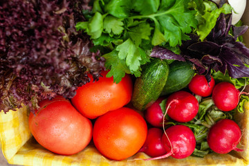 cucumbers, tomatoes, radishes, lettuce, basil, parsley in a box with a yellow napkin. top view