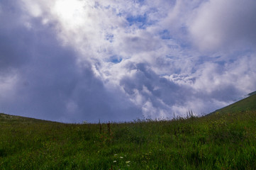 Fototapeta na wymiar summer meadow with beautiful storm sky 