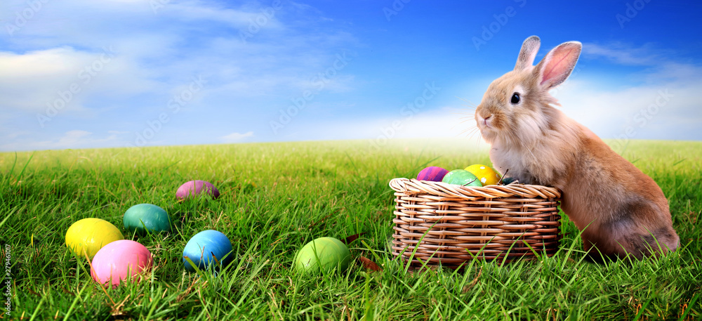 Wall mural the cute rabbit stands on a wooden basket and has easter eggs placed on green grass and sees the bri