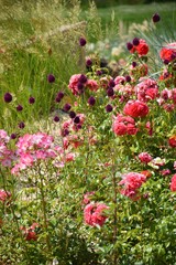 Blumenpracht auf der Gartenschau Heilbronn