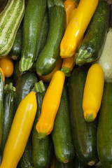 Variétés de courgettes jaunes et vertes sur l'étal d'un marché aux légumes