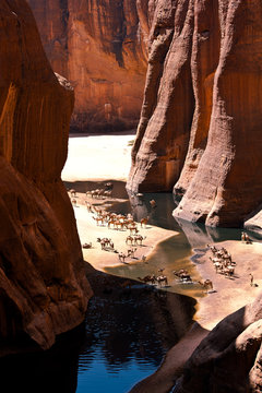 Die Schlucht von  Archei - In der Schlucht gibt es einen S&uuml;sswassersee, weshalb der Ort von den Nomaden der &ouml;stlichen Sahara als Kameltr&auml;nke genutzt wird - Tschad