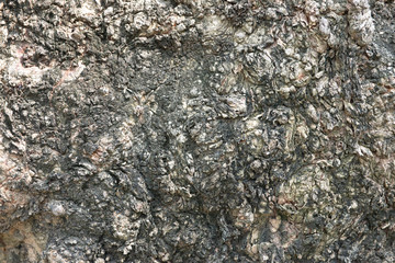 Close up of weathered wood surface background