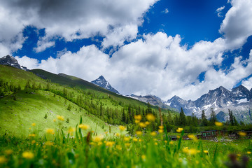 The mountains and flowers.