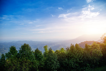 Mountains view landscape forest with rising sun and fog in the morning. Beautiful scenery view in countryside of asia.