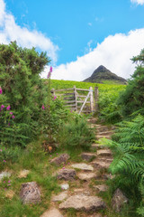 Fototapete bei efototapeten.de bestellen   