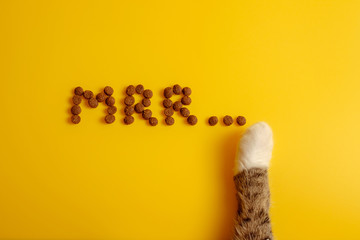 cat food on yellow background laid out in word of cat purring, Mrr top view, cat paws