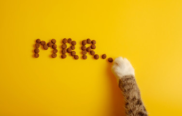 cat food on yellow background laid out in word of cat purring, Mrr top view,  funny cat paws steals food