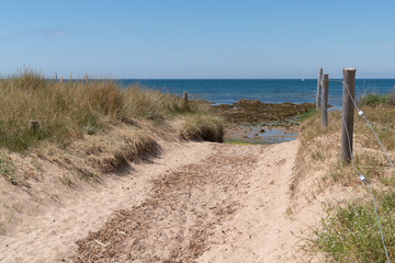 foot path access beach of island Noirmoutier in vendee France