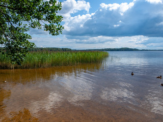 Beautiful clouds over lake in summer sunny day with reflections and some ducks, Latvia