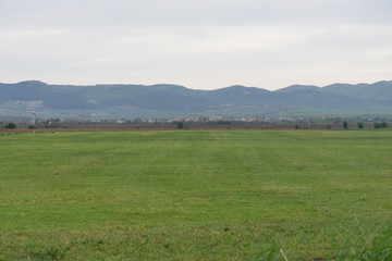 Green field, sky and mountain