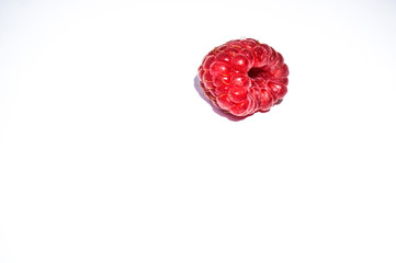 one raspberry berry on white background
