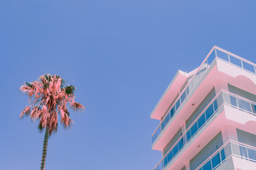 Orange palm tree and part of hotel. Minimal infrared style
