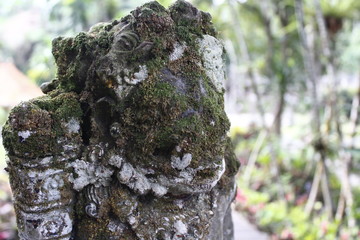Ancient statue with Moss in Bali, Indonesia