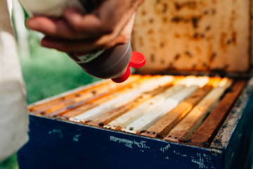 Anti Varroa treatment on the open beehive