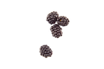Collection blackberries on white background. The view from the top.
